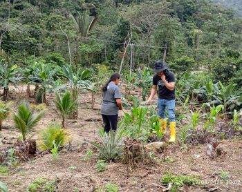 530609509_805020262197059_9165958017515597834_n